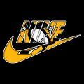 Pittsburgh Penguins Nike logo Sticker Heat Transfer