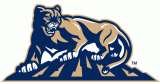 Brigham Young Cougars 1999-2004 Alternate Logo decal sticker