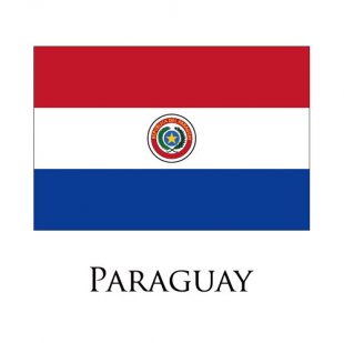 Paraguay flag logo
