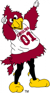 South Carolina Gamecocks 2002-Pres Mascot Logo decal sticker