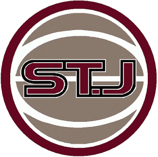 St.Johns RedStorm 2004-2006 Alternate Logo Sticker Heat Transfer