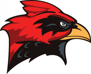 Incarnate Word Cardinals 1998-2010 Secondary Logo Sticker Heat Transfer