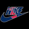 Detroit Pistons Nike logo decal sticker
