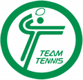 World TeamTennis 1981-1982 Primary Logo Sticker Heat Transfer