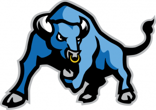 Buffalo Bulls 2007-2015 Secondary Logo 02 Sticker Heat Transfer