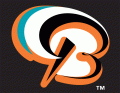 Bowie BaySox 2002-Pres Cap Logo 2 decal sticker