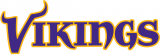 Minnesota Vikings 2004-Pres Wordmark Logo 01 decal sticker