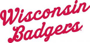 Wisconsin Badgers 1961-1969 Wordmark Logo Sticker Heat Transfer