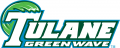 Tulane Green Wave 2014-Pres Wordmark Logo 03 decal sticker