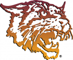 Bethune-Cookman Wildcats 2000-2015 Primary Logo decal sticker