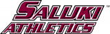 Southern Illinois Salukis 2001-2018 Wordmark Logo 03 decal sticker