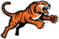 RIT Tigers 2004-Pres Alternate Logo 04 Sticker Heat Transfer