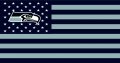 Seattle Seahawks Flag001 logo Sticker Heat Transfer