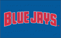 Dunedin Blue Jays 1997-2003 Wordmark Logo Sticker Heat Transfer