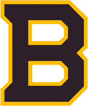 Boston Bruins 2018 19 Special Event Logo decal sticker