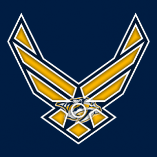 Airforce Nashville Predators Logo decal sticker