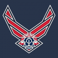 Airforce Washington Wizards Logo decal sticker