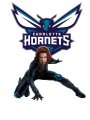 Charlotte Hornets Black Widow Logo Sticker Heat Transfer