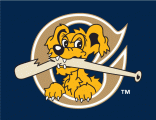 Charleston Riverdogs 2011-2015 Cap Logo 3 Sticker Heat Transfer
