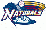 Northwest Arkansas Naturals 2008-Pres Primary Logo Sticker Heat Transfer