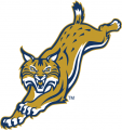 Quinnipiac Bobcats 2002-2018 Alternate Logo 06 decal sticker