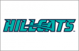 Lynchburg Hillcats 2017-Pres Jersey Logo Sticker Heat Transfer