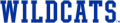 Kentucky Wildcats 2016-Pres Wordmark Logo 06 decal sticker