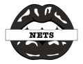 Brooklyn Nets Lips Logo Lips Logo Sticker Heat Transfer