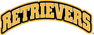 UMBC Retrievers 2010-Pres Wordmark Logo 06 decal sticker