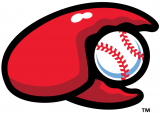 Hickory Crawdads 2016-Pres Secondary Logo decal sticker