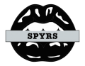 San Antonio Spurs Lips Logo Sticker Heat Transfer