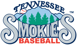 Tennessee Smokies 2000-2014 Primary Logo decal sticker