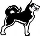 Northeastern Huskies 2001-2006 Alternate Logo 02 Sticker Heat Transfer