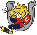 Barrie Colts 1995 96-Pres Primary Logo decal sticker