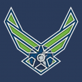 Airforce Minnesota Timberwolves logo decal sticker