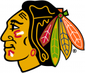 Chicago Blackhawks 1989 90-1995 96 Primary Logo Sticker Heat Transfer