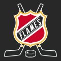 Hockey Calgary Flames Logo Sticker Heat Transfer