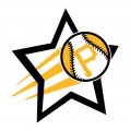 Pittsburgh Pirates Baseball Goal Star logo decal sticker