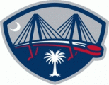 South Carolina Sting Rays 2007 08-Pres Alternate Logo 3 decal sticker