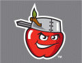 Fort Wayne Tincaps 2008-Pres Cap Logo 2 Sticker Heat Transfer