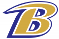 Baltimore Ravens 1999-Pres Alternate Logo Sticker Heat Transfer