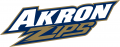 Akron Zips 2002-Pres Wordmark Logo decal sticker