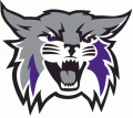 Weber State Wildcats 2012-Pres Primary Logo decal sticker