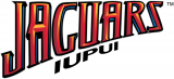 IUPUI Jaguars 2008-Pres Wordmark Logo decal sticker