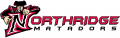 Cal State Northridge Matadors 1999-2013 Wordmark Logo Sticker Heat Transfer