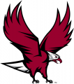 NCCU Eagles 2006-Pres Partial Logo decal sticker
