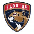 Florida Panthers Crystal Logo Sticker Heat Transfer