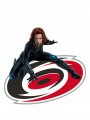 Carolina Hurricanes Black Widow Logo Sticker Heat Transfer