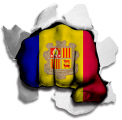 Fist Andorra Flag Logo Sticker Heat Transfer
