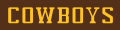 Wyoming Cowboys 2006-2012 Wordmark Logo 01 decal sticker
